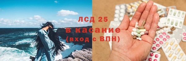 хмурый Арсеньев
