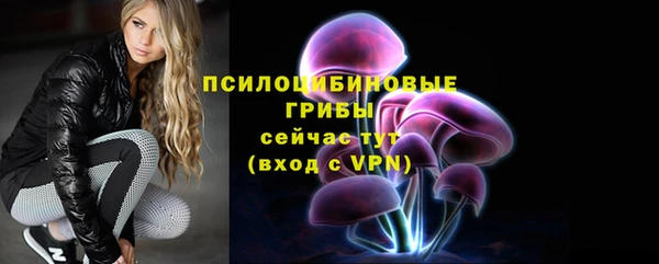 Альфа ПВП Балабаново
