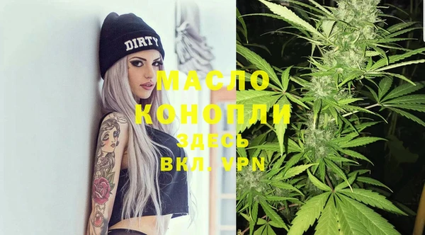 хмурый Арсеньев