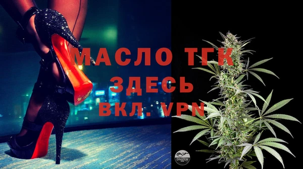 хмурый Арсеньев