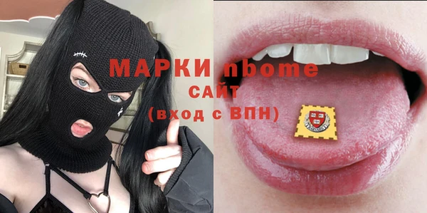 хмурый Арсеньев