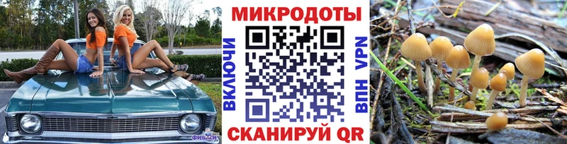 Псилоцибиновые грибы мицелий Окуловка